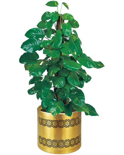 藝術花盆（砂紋鈦金）